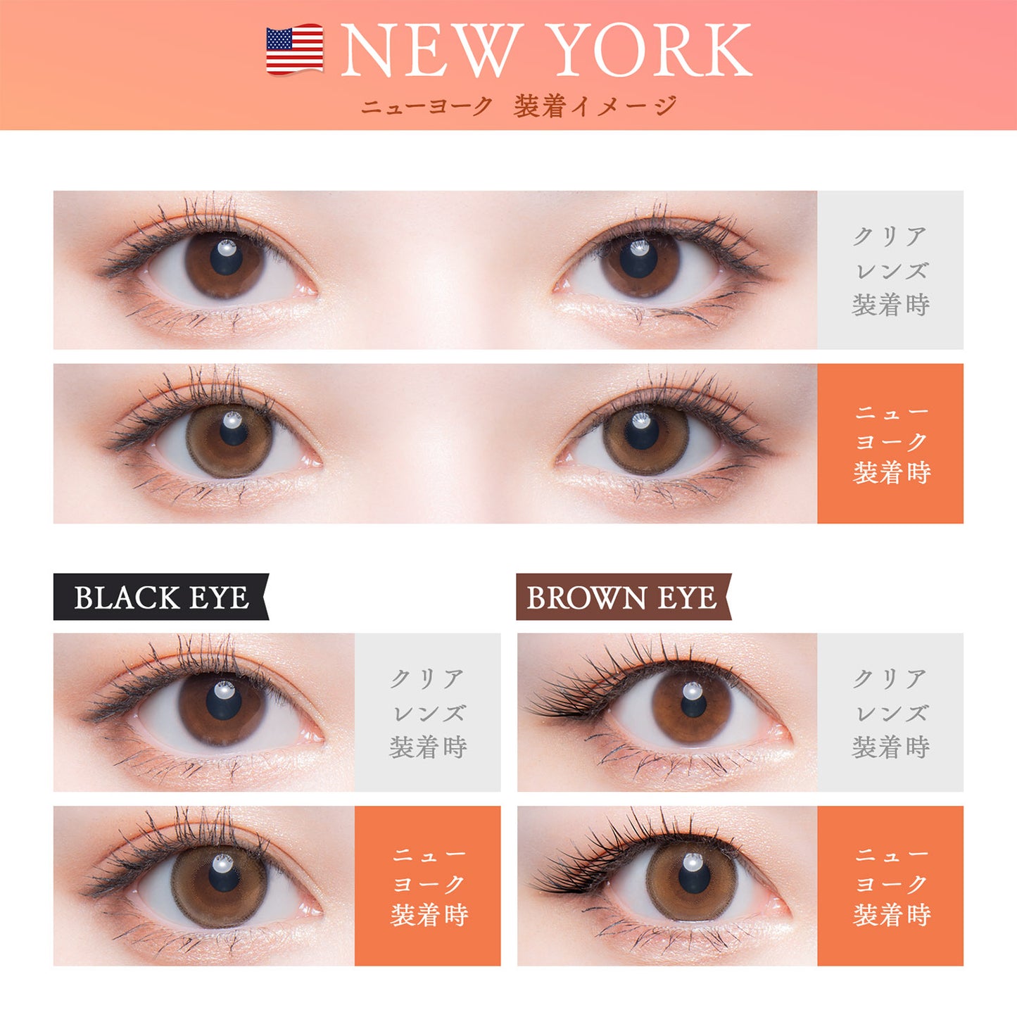 せかいのふるーりー / NEW YORK - 10枚入り