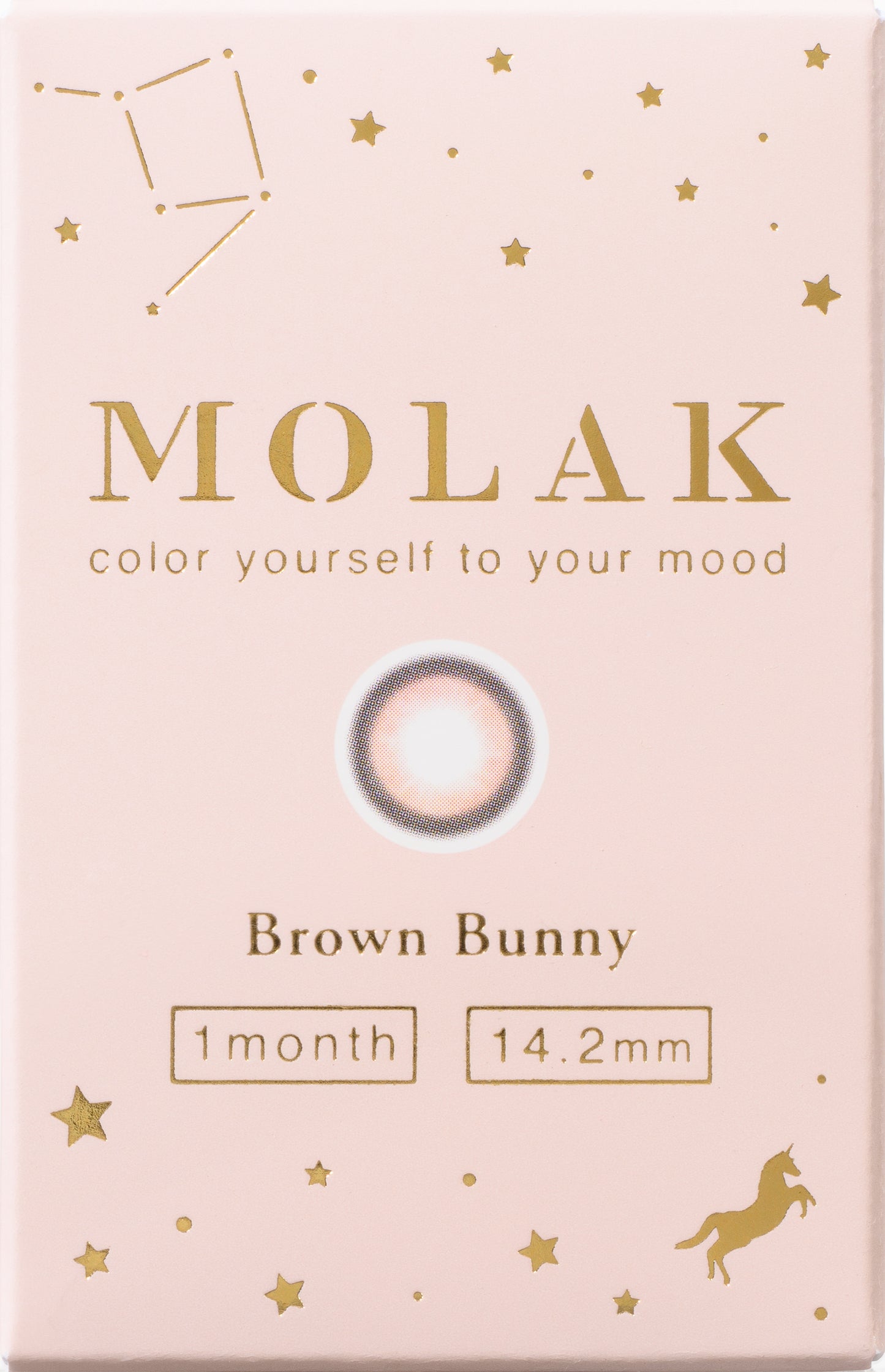 MOLAK(모라크) 1month / 브라운 토끼 - 2장들이