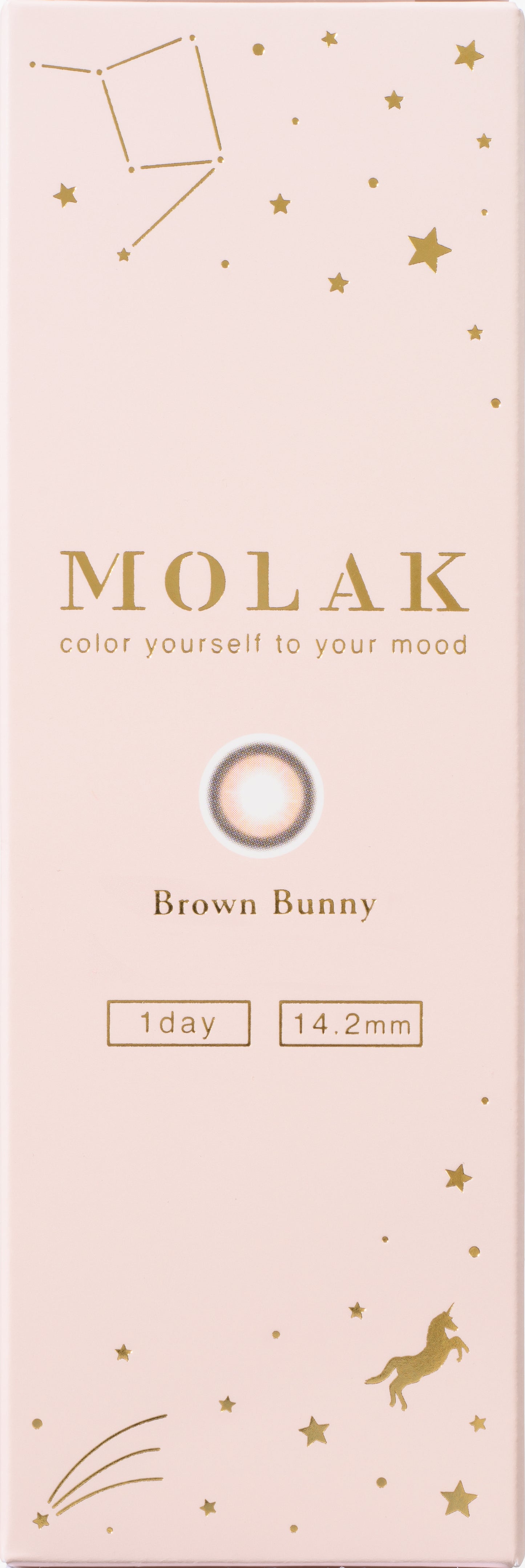 MOLAK(モラク) ワンデー / ブラウンバニー - 10枚入り