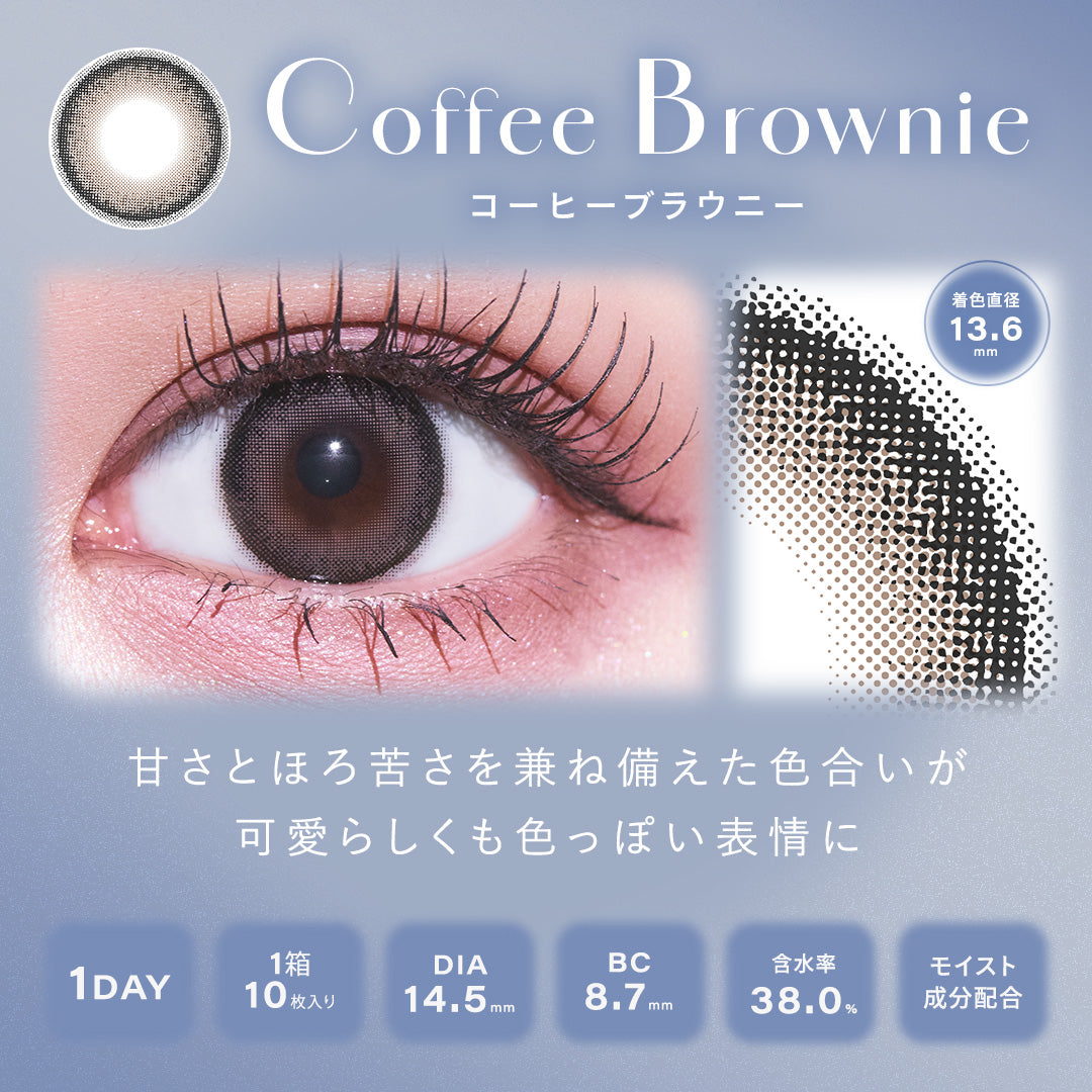 シャルトン / コーヒーブラウニー - 10枚入り