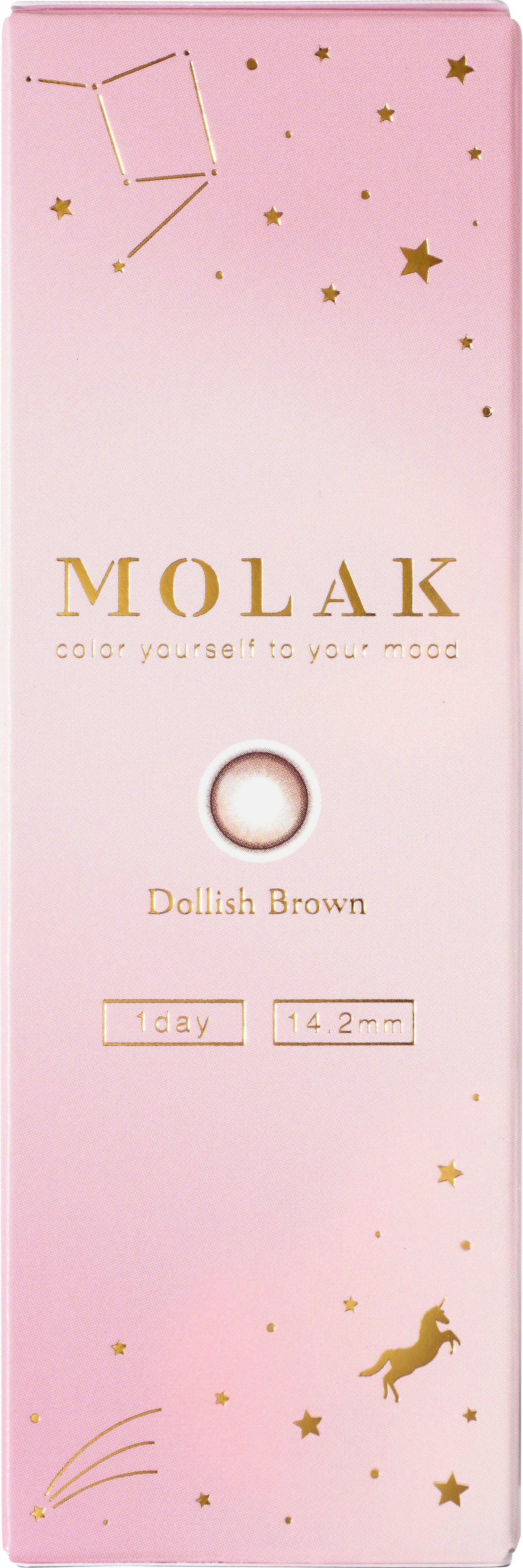 MOLAK(모라크) 원데이 / 돌리쉬 브라운 - 10장들이