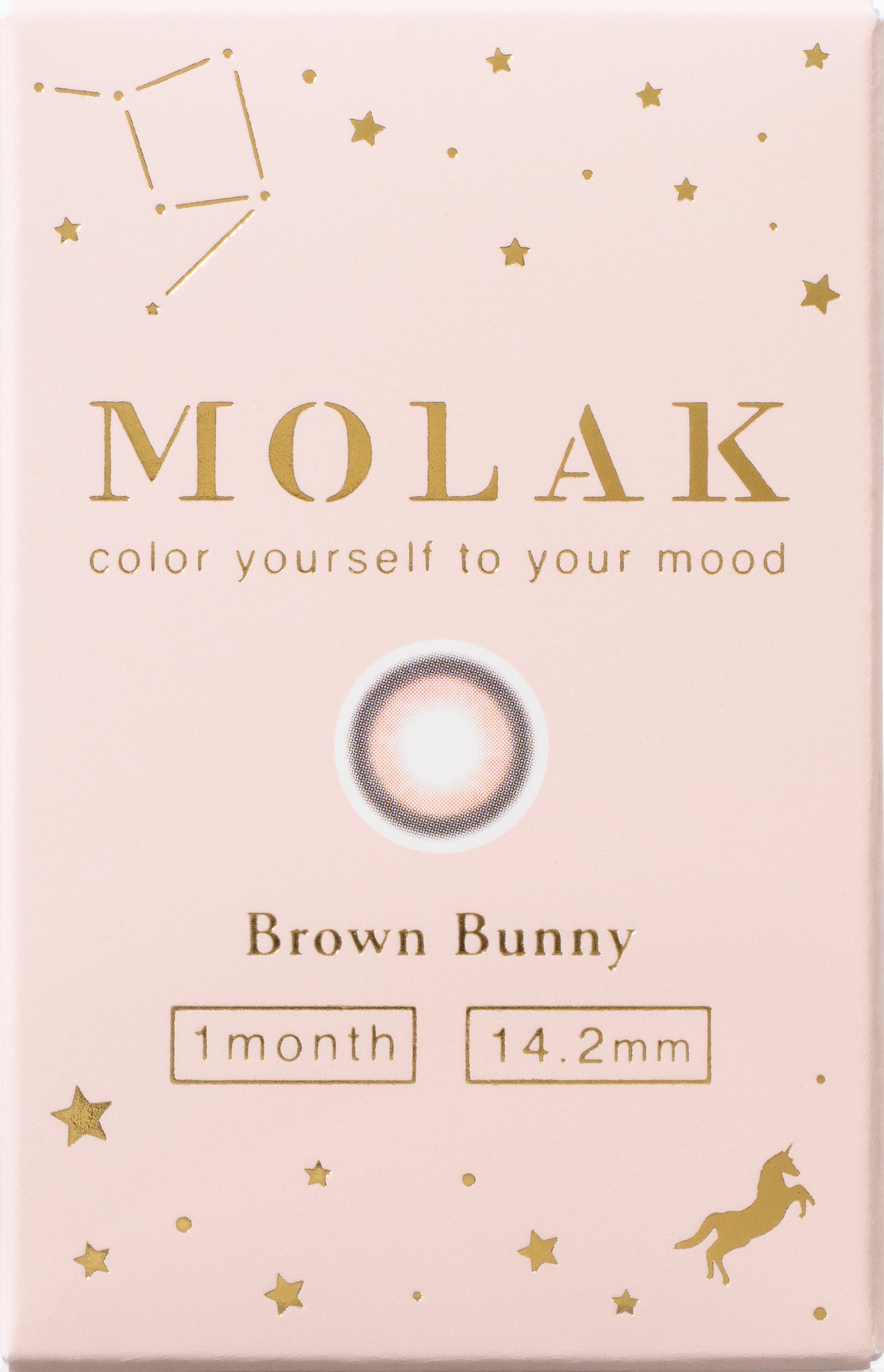 MOLAK(モラク) 1month / ブラウンバニー - 2枚入り