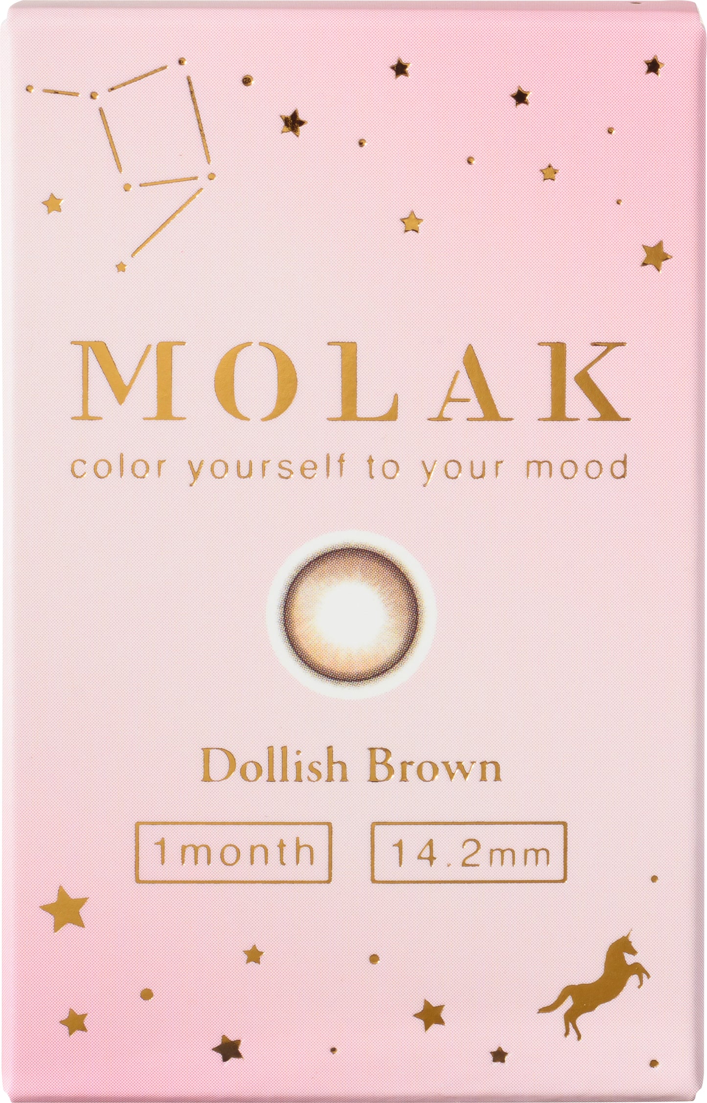 MOLAK(モラク) 1month / ドーリッシュブラウン - 2枚入り