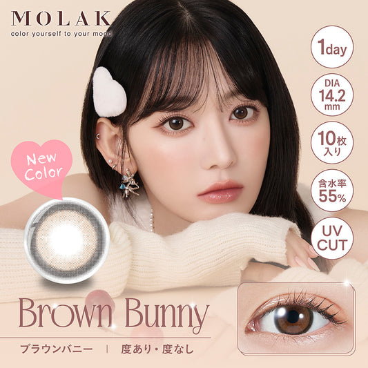 MOLAK(모라크) 원데이/브라운 토끼 - 10장들이 