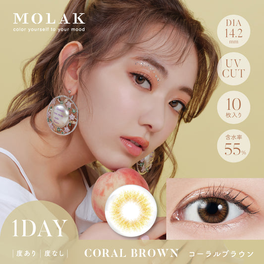 MOLAK(모라크) 원데이 / 코랄 브라운 - 10장들이 