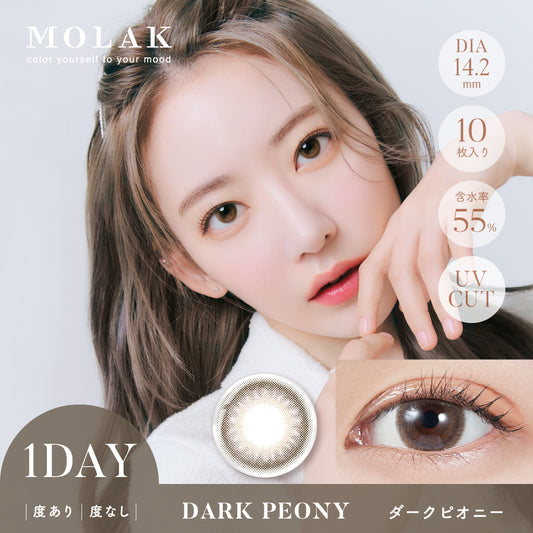 MOLAK(모라크) 원데이 / 다크 피오니 - 10장들이 
