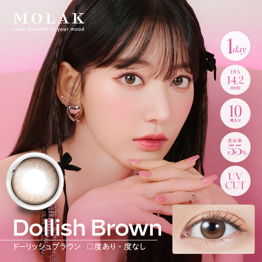 MOLAK(모라크) 원데이 / 돌리쉬 브라운 - 10장들이 