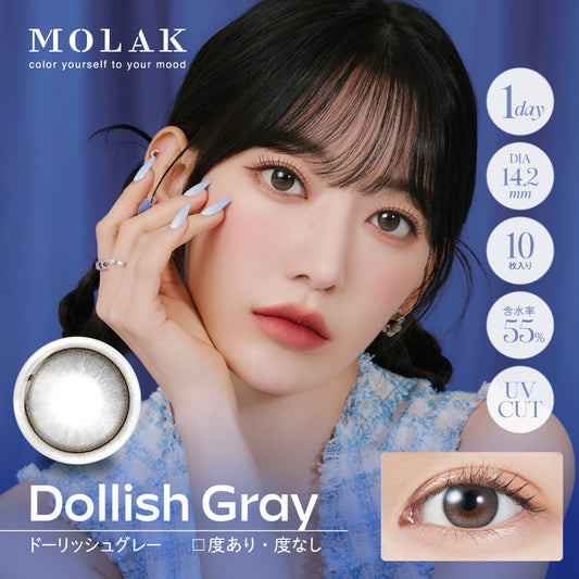 MOLAK(모라크) 원데이 / 돌리쉬 그레이 - 10장들이 