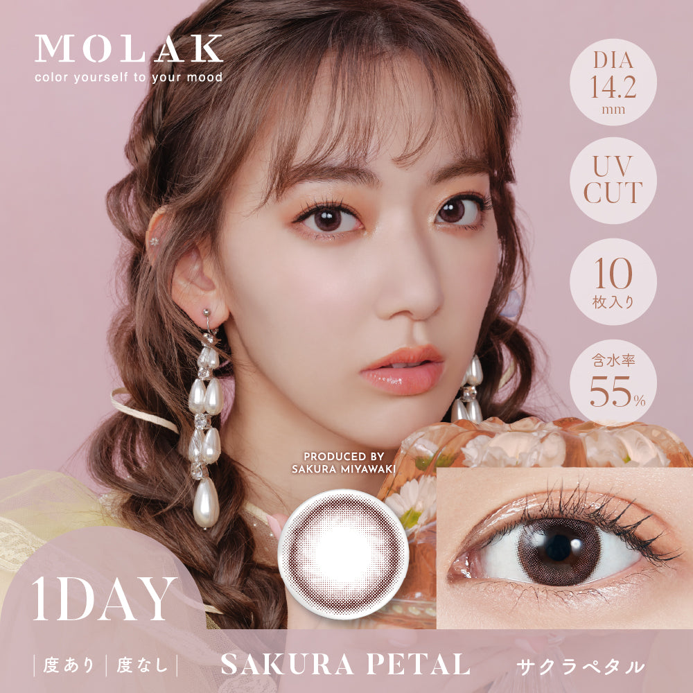 MOLAK(모라크) 원데이 / 사쿠라 페탈 - 10장들이 