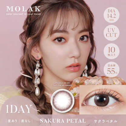 MOLAK(모라크) 원데이 / 사쿠라 페탈 - 10장들이 