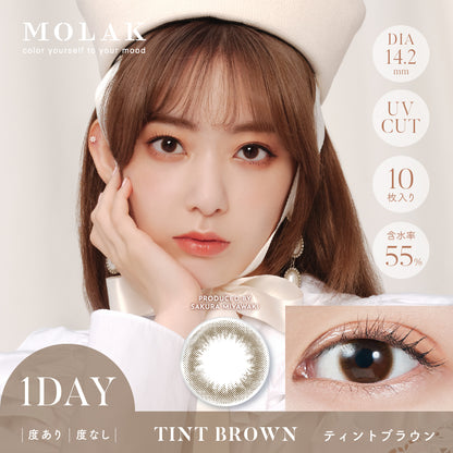 MOLAK(모라크) 원데이 / 틴트 브라운 - 10장들이 